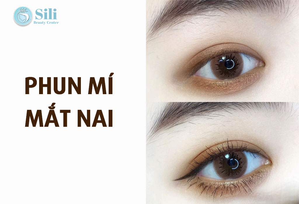 phun mí mắt nai 