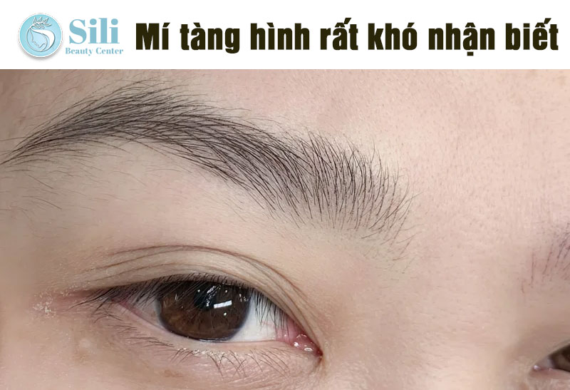 phun mí tàng hình