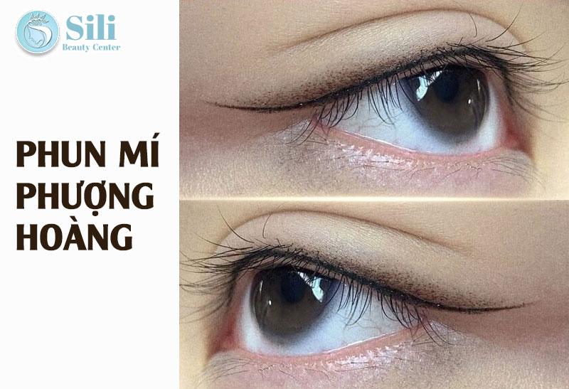 phun mí phượng hoàng
